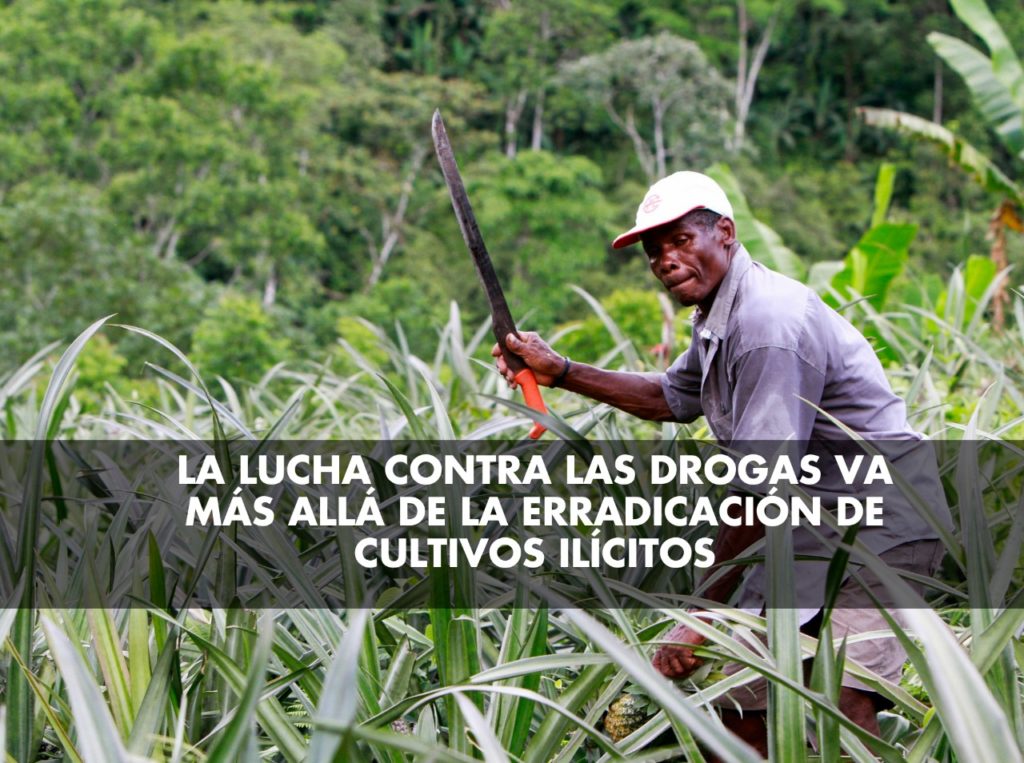 La lucha contra las drogas y a favor de los campesinos