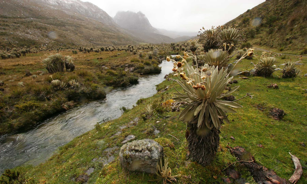 Proyecto de ley sobre cambio climático pasó su primer debate en el Congreso