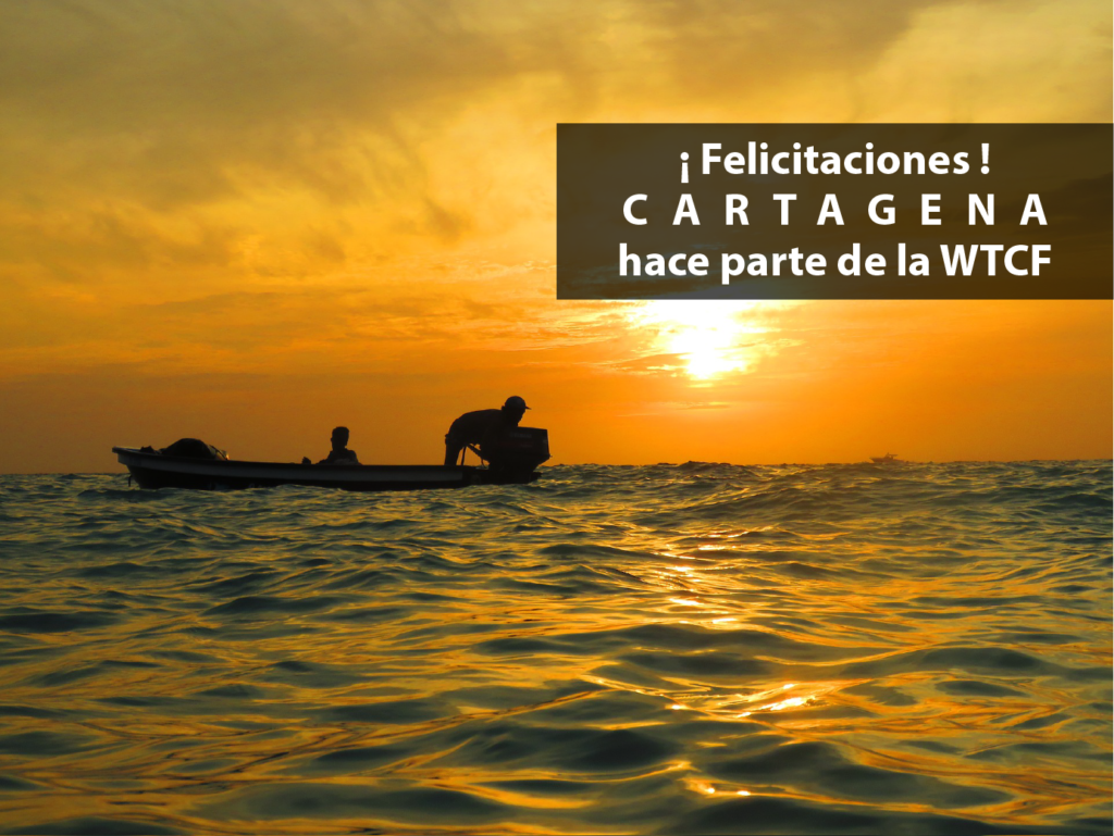 Gracias al esfuerzo cartagenero, “La Heroica” desde hoy hace parte de la WTCF y atraerá más turismo